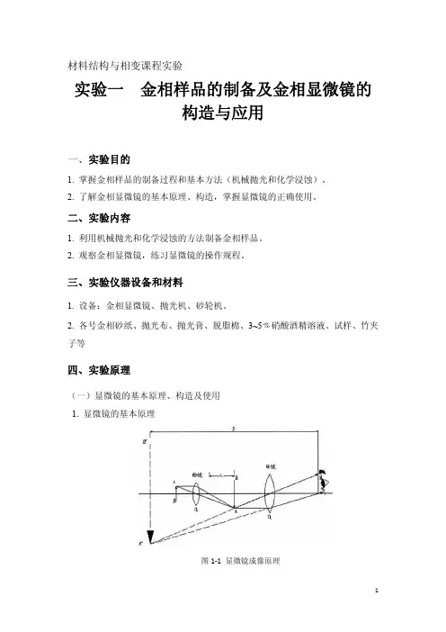 实验1-2 金相样品的制备