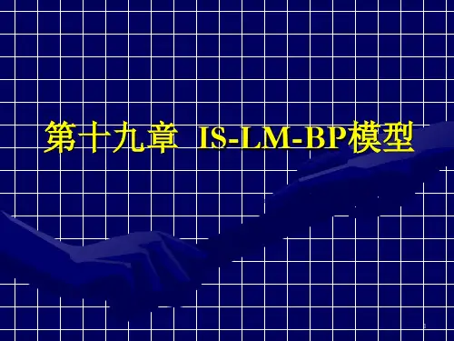 第十九章ISLMBP模型ppt课件