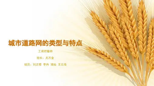 城市道路网的类型与特点