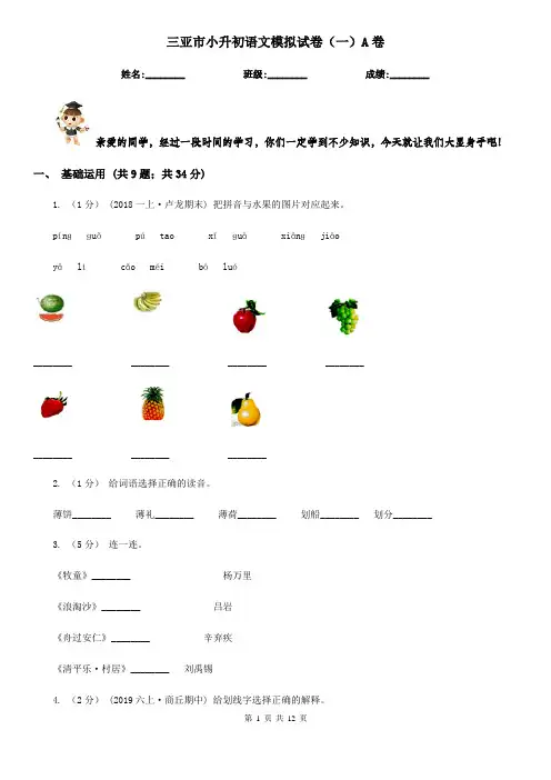 三亚市小升初语文模拟试卷(一)A卷
