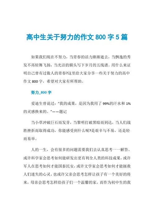高中生关于努力的作文800字5篇