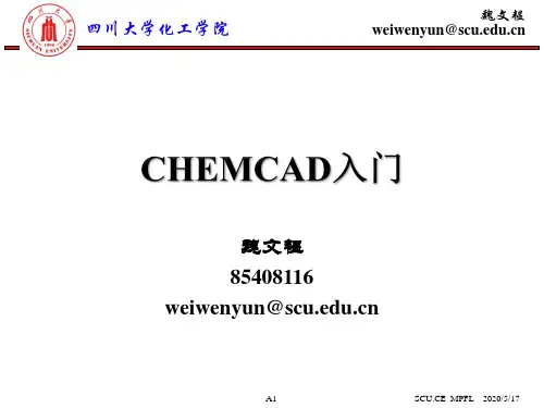 CHEMCAD入门2011-wwy2