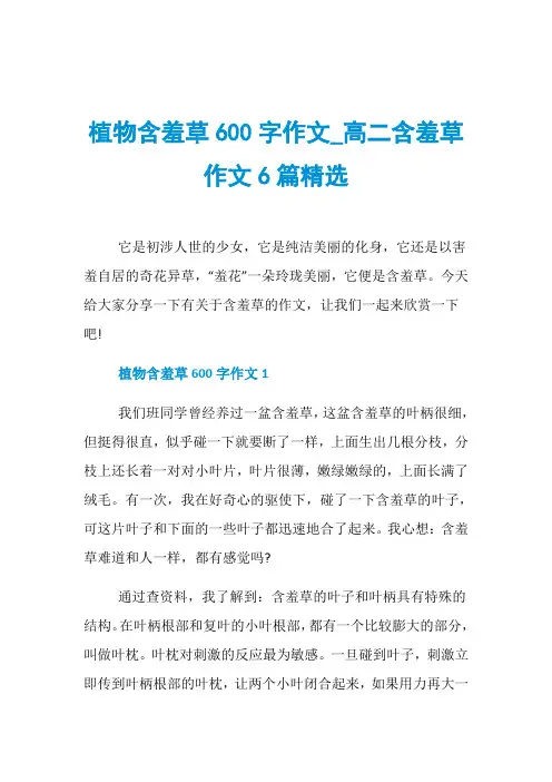 植物含羞草600字作文_高二含羞草作文6篇精选