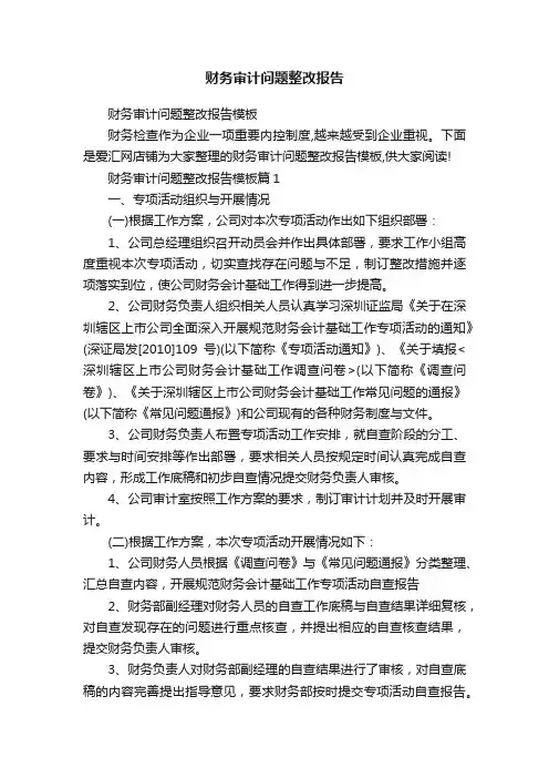 财务审计问题整改报告