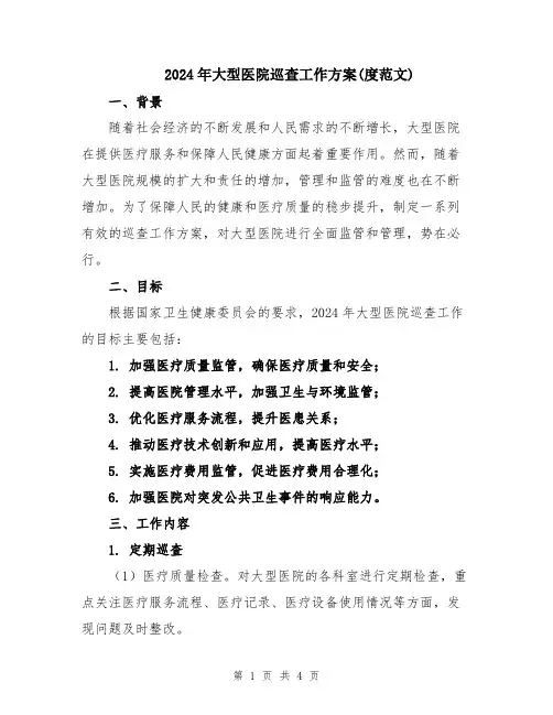 2024年大型医院巡查工作方案(度范文)