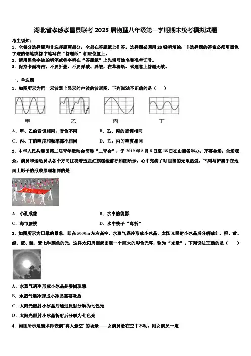 湖北省孝感孝昌县联考2025届物理八年级第一学期期末统考模拟试题含解析