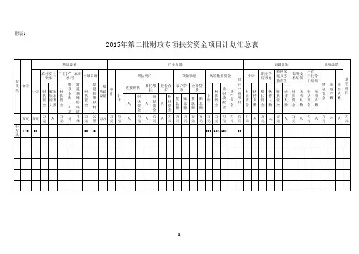 项目计划汇总表