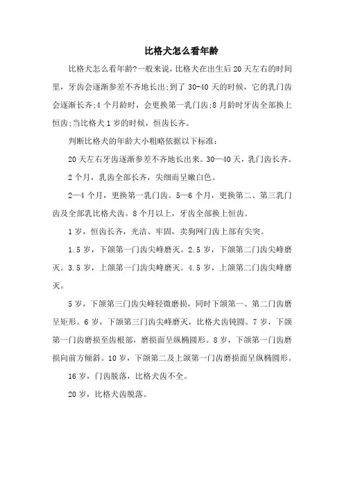 比格犬怎么看年龄