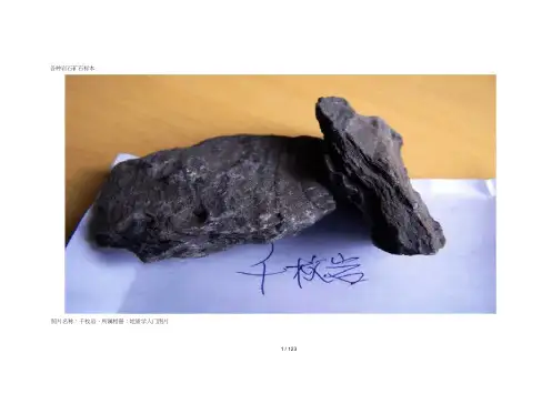 各种岩石矿石标本