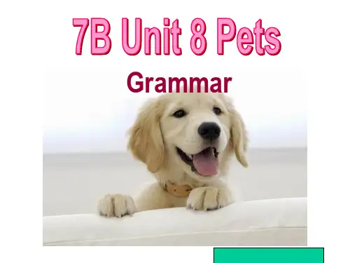7b unit8 grammar