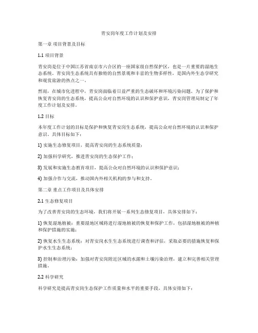 青安岗年度工作计划及安排