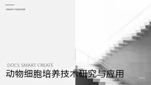 动物细胞培养