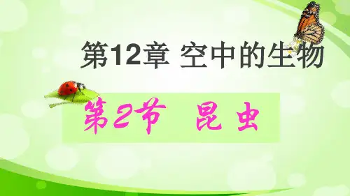 苏科版七年级下册生物 1昆虫 课件