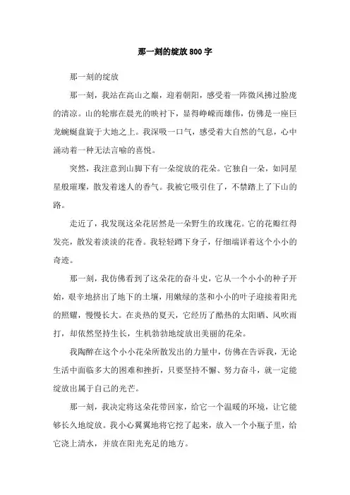 那一刻的绽放800字