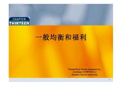 北京大学微观经济学 13、一般均衡和福利
