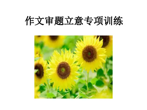 高中作文审题立意精品PPT课件