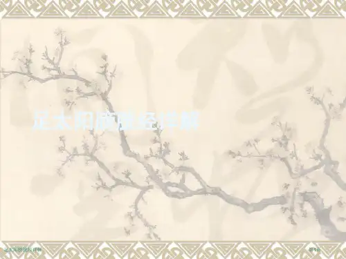 足太阳膀胱经详解