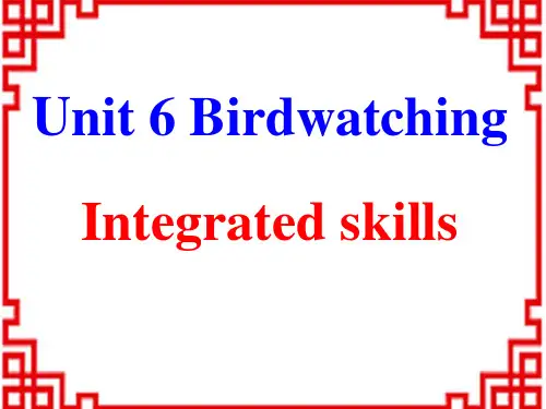 牛津译林八年级上册英语Unit 6 Bird watching Integrated skills