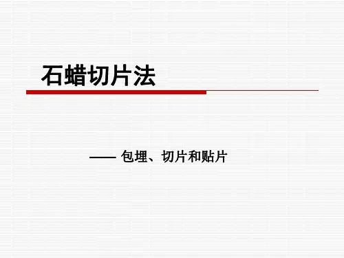石蜡切片法