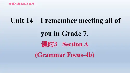 2020春人教版九年级英语下册课件-Unit 14-课时3 Section A (Grammar Focus-4b)