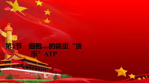 高中生物 第五章 细胞的能量供应和利用 第2节 细胞的能量“货币”atp课件高一必修1生物课件