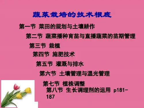 《农学蔬菜种植》ppt课件