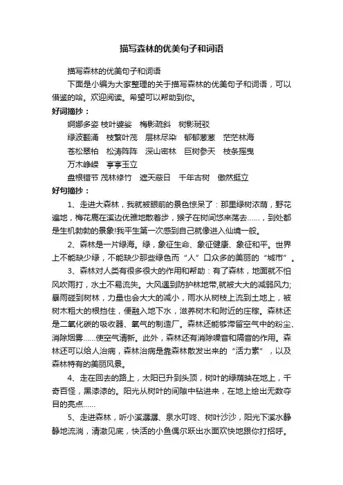 描写森林的优美句子和词语