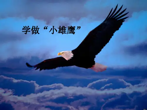 二年级品德上册课件-第三单元10《学做“小雄鹰”》人教新课标 (共17页)