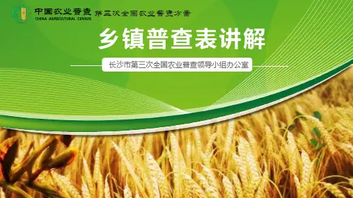 乡镇普查表讲解