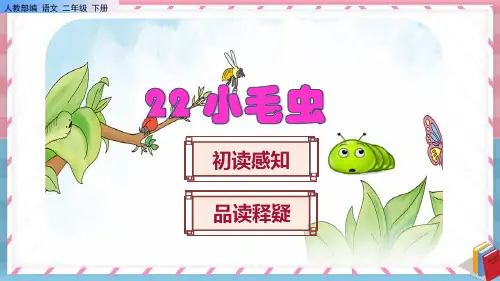 《小毛虫》课件PPT(完美版)
