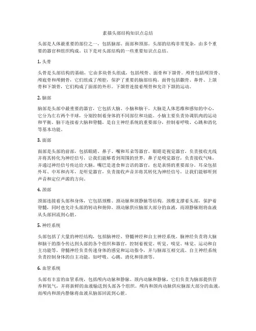 素描头部结构知识点总结