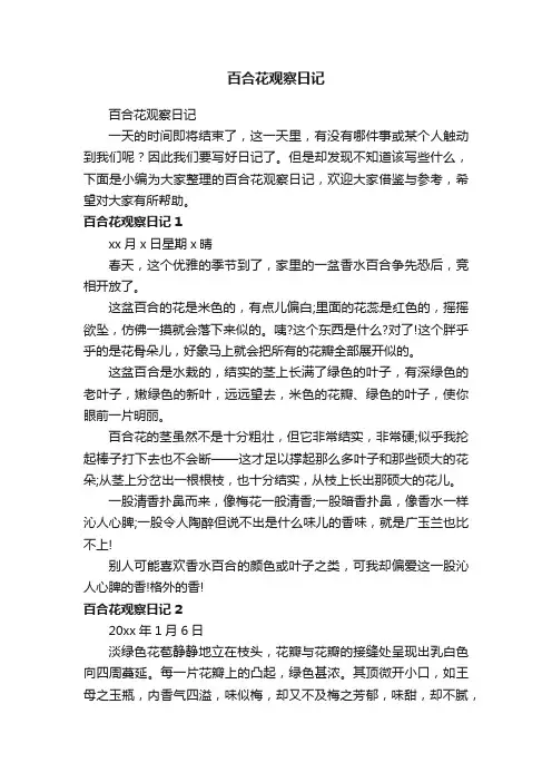 百合花观察日记 3