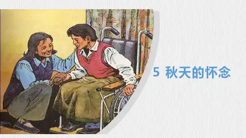 《秋天的怀念》ppt课件