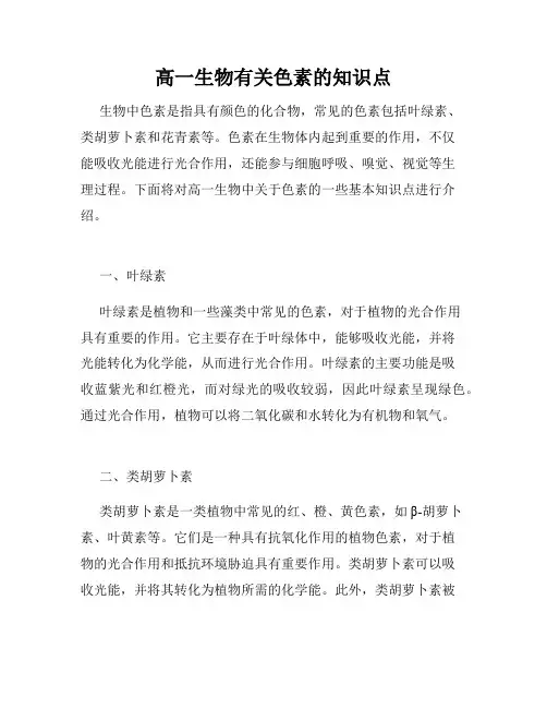 高一生物有关色素的知识点