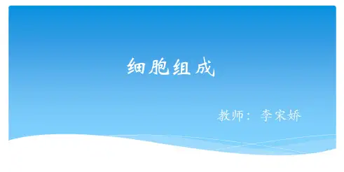 动物细胞亚显微结构模式图