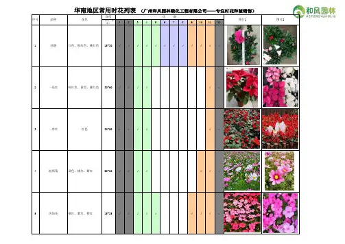 华南地区常用时花列表