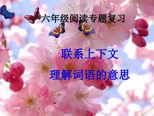 六年级复习专题联系上下文准确理解词语意思