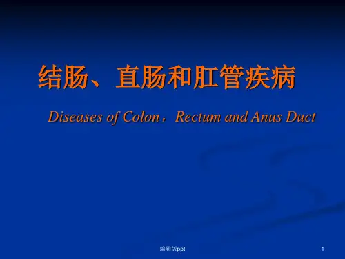 结直肠肛管PPT课件
