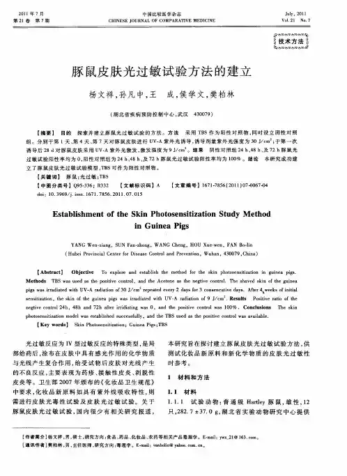 豚鼠皮肤光过敏试验方法的建立