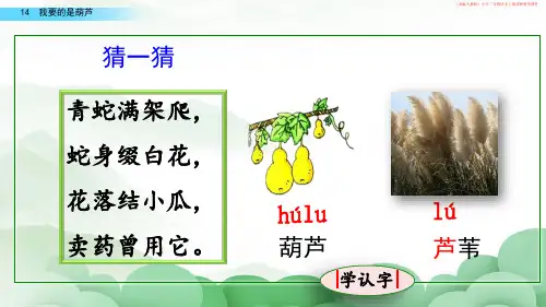 (部编人教版)小学二年级语文上册《14我要的是葫芦》讲解教学课件