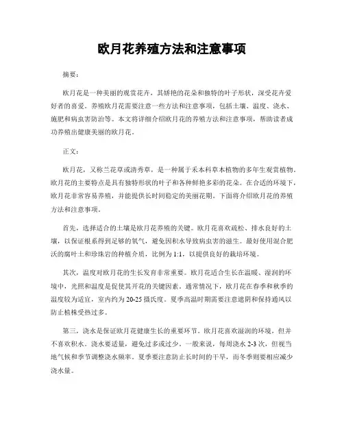 欧月花养殖方法和注意事项