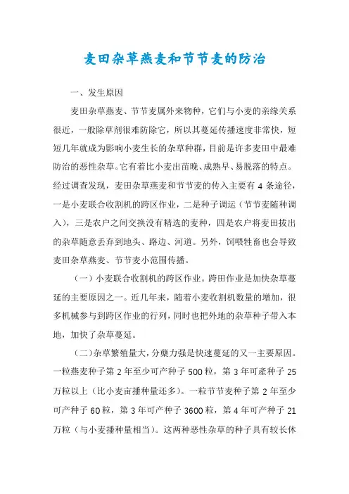 麦田杂草燕麦和节节麦的防治