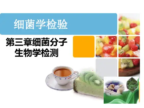 第三章 细菌的分子生物学检测