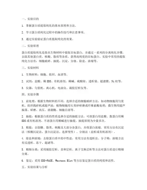 提取纯化蛋白实验报告