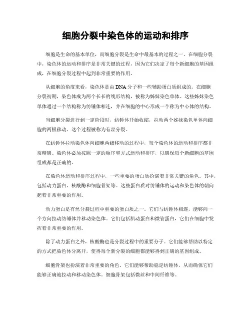 细胞分裂中染色体的运动和排序