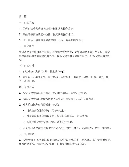 救鼠鼠实验报告(3篇)