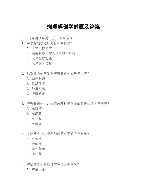 病理解剖学试题及答案