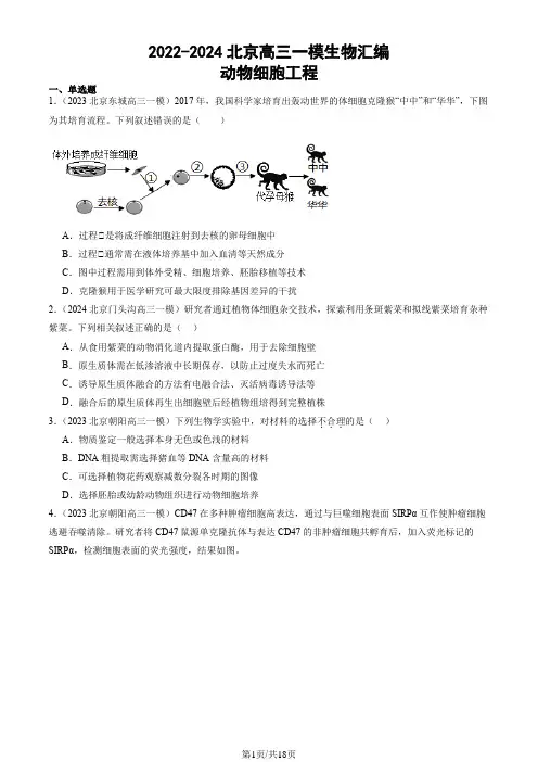 2022-2024北京高三一模生物汇编：动物细胞工程