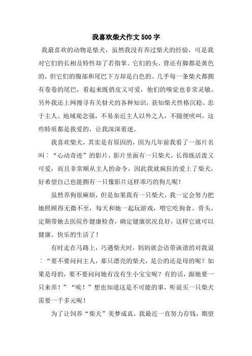 我喜欢柴犬作文500字.docx