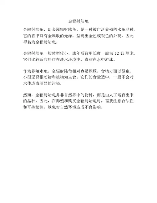 金辐射陆龟
